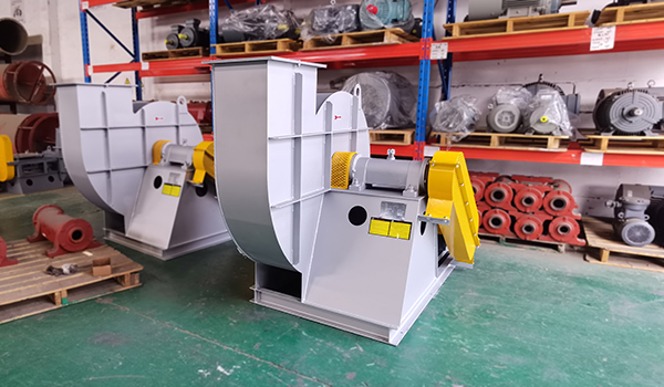 ���ķ���ļҺã�-��è����