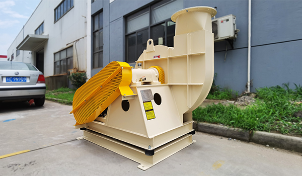 ������è�������ķ��