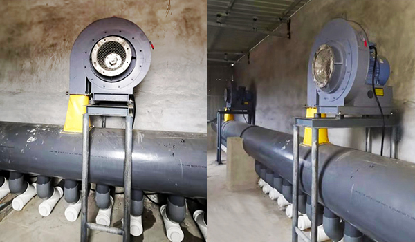 ��ѹ���ķ��������-��è����