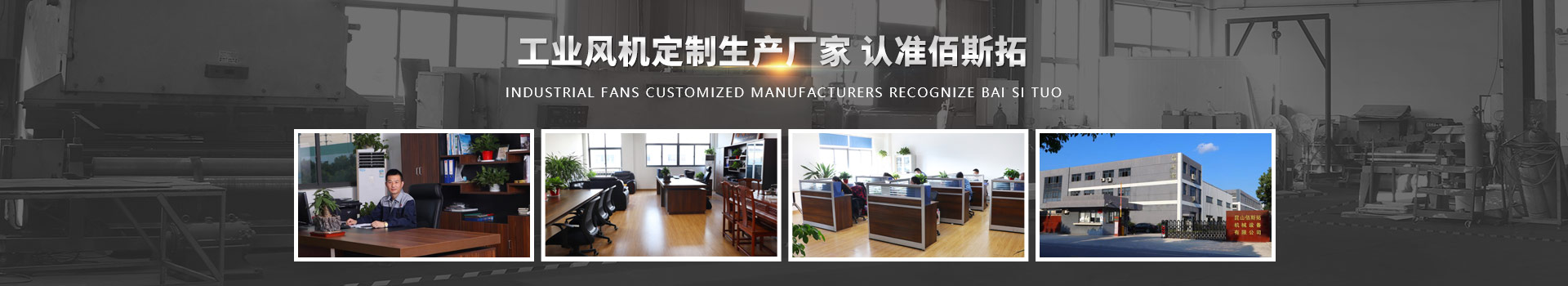 ��ϵ��è����