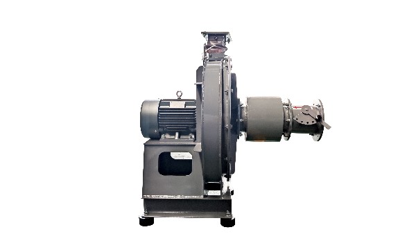 �����������������ʲô��