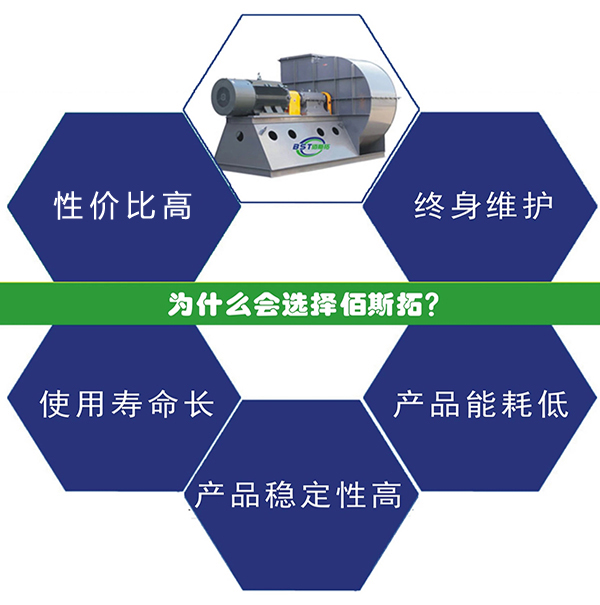 Ϊʲôѡ����è������ѹ���ķ��