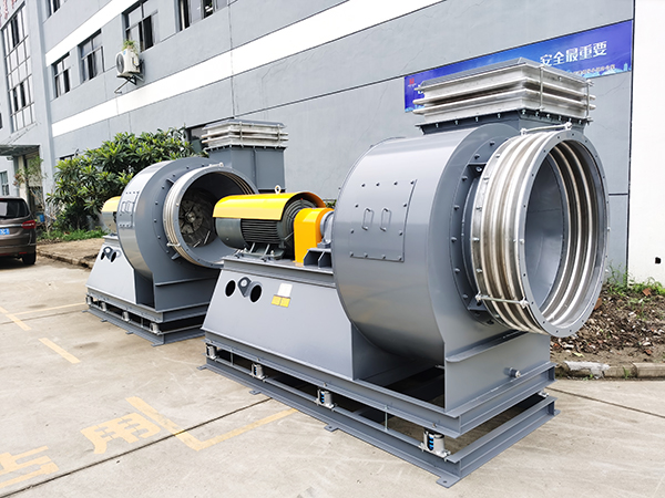 ���ķ��Ϊʲô��©�ͣ�-��è����Ϊ�����