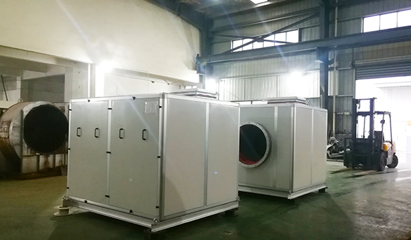 ����������������ʽ���-��è����