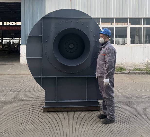 ���ķ������