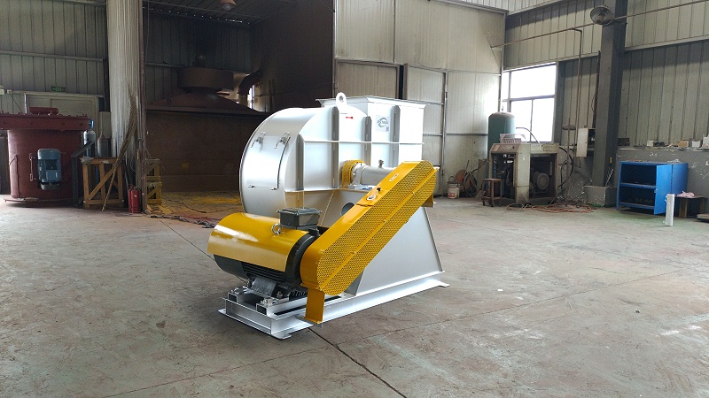 ѡ���������ע����������Щ��