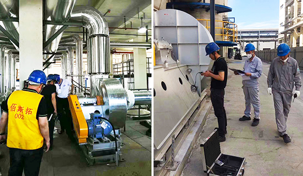 �������ķ��ά�޲����ֳ�-��è����