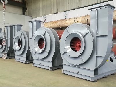 �������ķ���͸��»������������_��è����