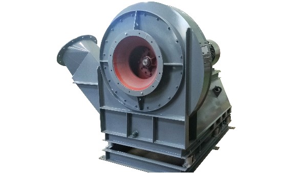 ��¯���������Щ�������Ҫ����ͣ������è����