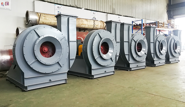 ���粼���������ķ��