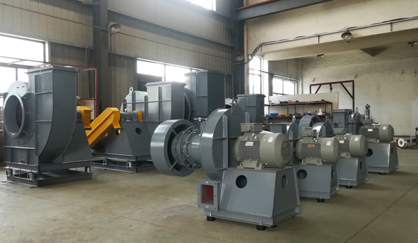 �������ķ���ļҺã�-��è�������