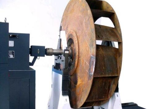 ���·��Ҷ��